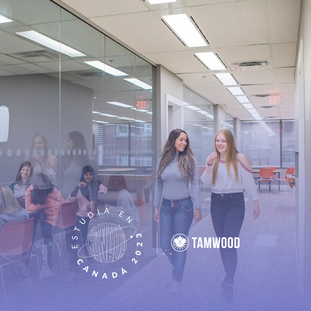 Portada-tamwood